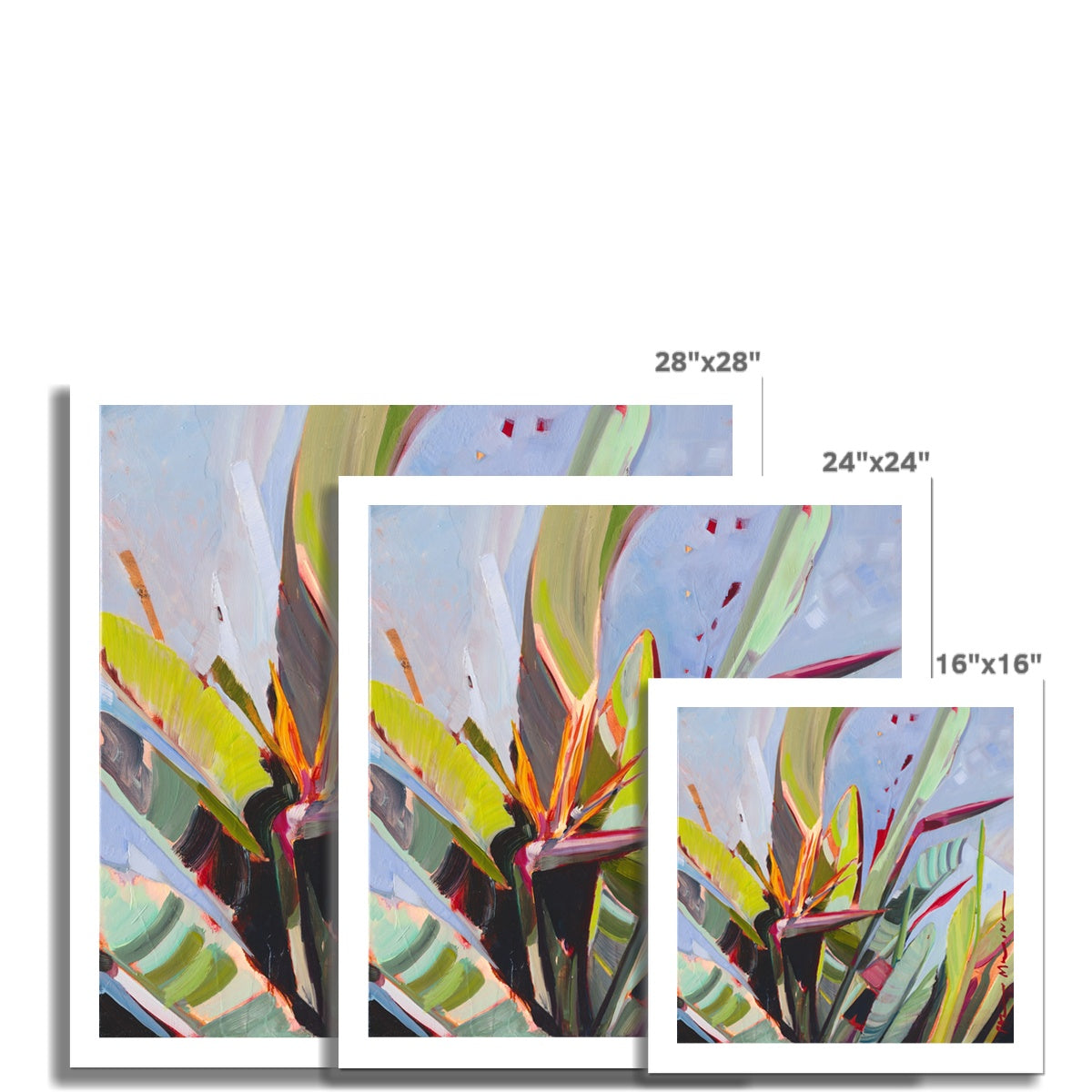Morning Light- Fine Art Print