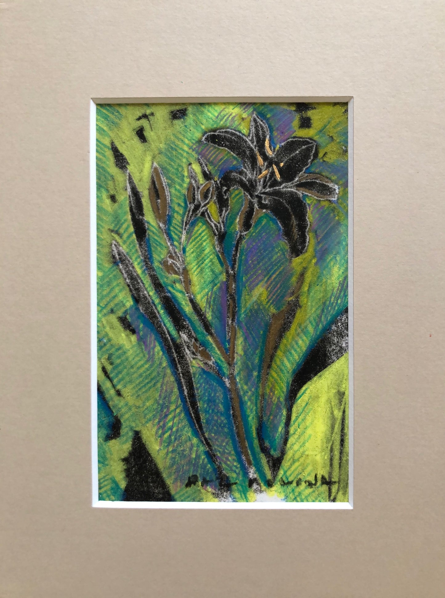 Black Lily