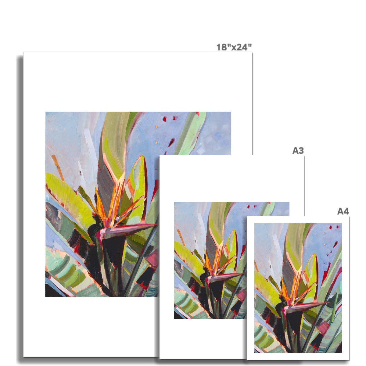 Morning Light- Fine Art Print